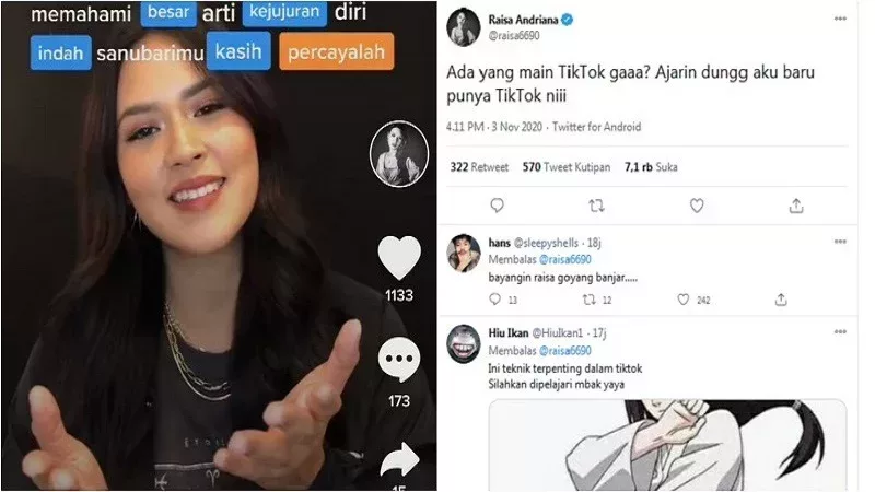 jasa kelola tiktok artis raisa