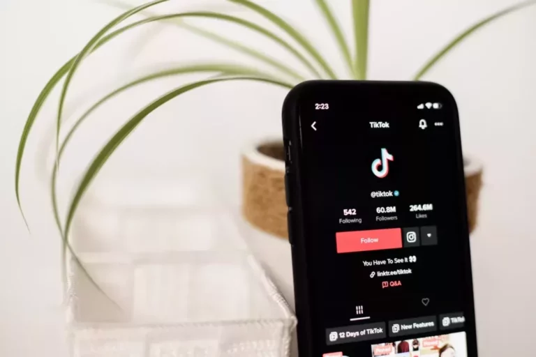 jasa kelola tiktok