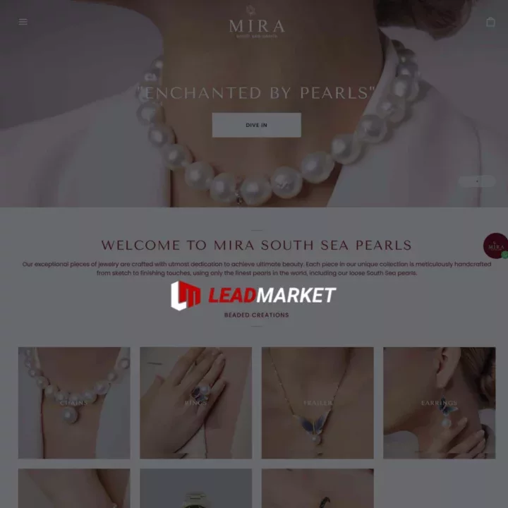 jasa-shopify-jakarta